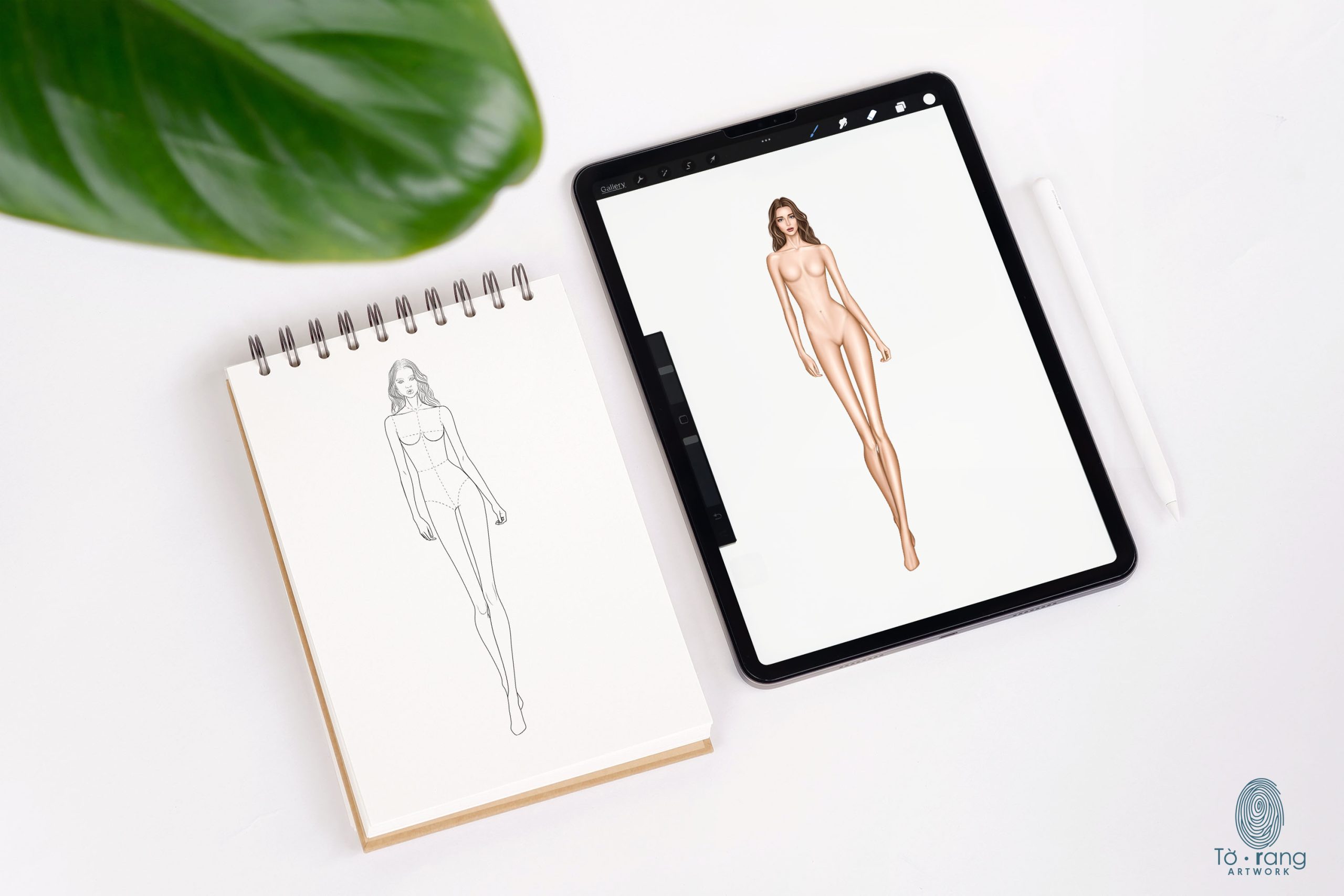Female Fashion Croquis Templates, Curly Hair, Catwalk Pose, 10-Head Fashion Figure, 3 Different Colored Skin Tones - Image 4